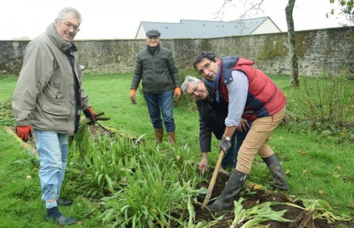 Villaines-la-Juhel. Une soirée culinaire autour des légumes le 13 novembre