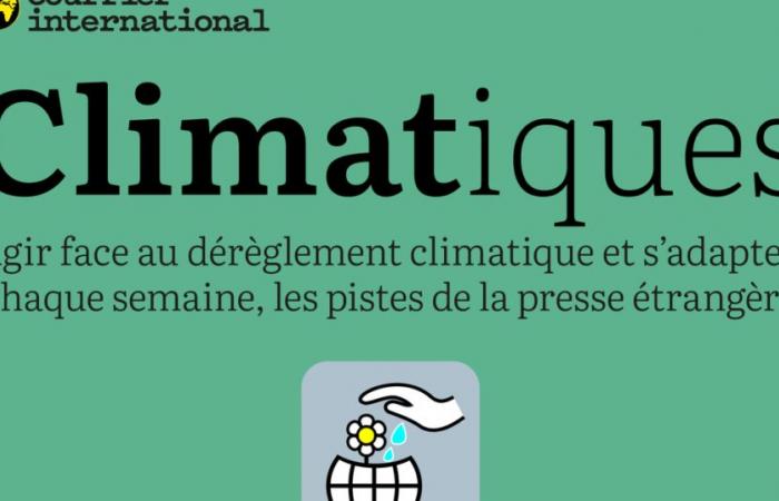 Trump, les milliardaires du pétrole et les subventions vertes