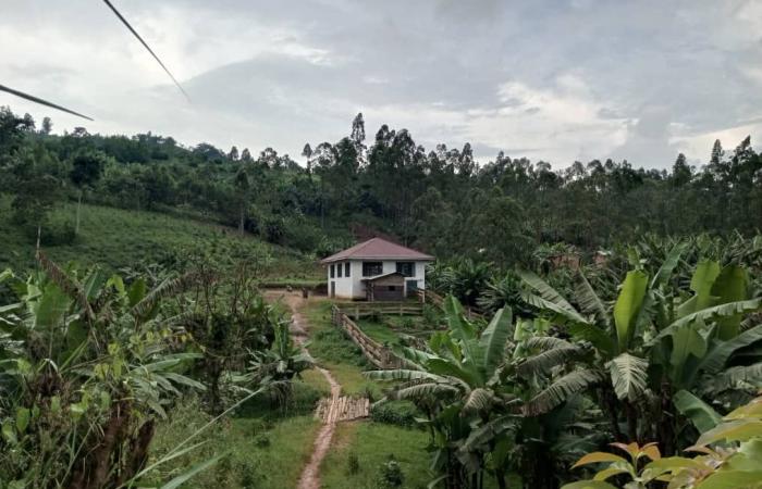 Augmentation des cas de paludisme et d’anémie à Vulambo, territoire de Beni