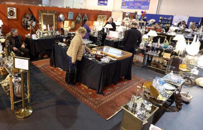 Brocantes du week-end du 11 novembre dans le Nord et le Pas-de-Calais