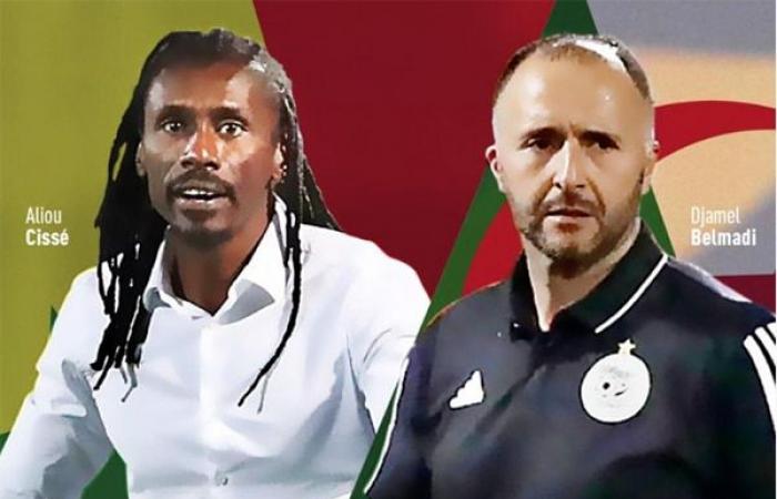 Djamel Belmadi-Aliou Cissé, two unemployed XXL coaches – Lequotidien