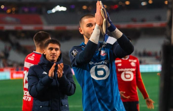 La réaction des Dogues et Lucas Chevalier (LOSC), convoqués pour la première fois avec les Bleus