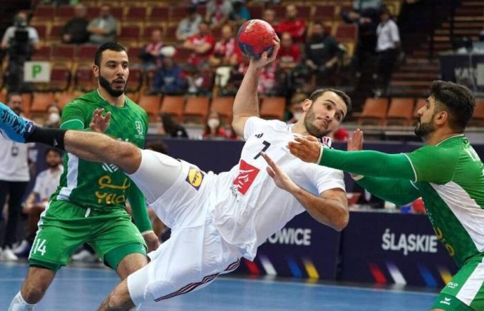 Handball. Blessés, Prandi et Villeminot quittent les Bleus, Lagarde arrive en renfort