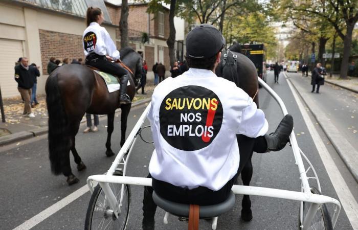 Hippodromes fermés, manifestation à Paris, la « réaction de survie » du monde des courses hippiques