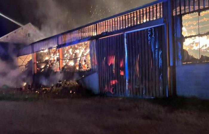 incendie majeur dans un hangar agricole de 1 000 m2