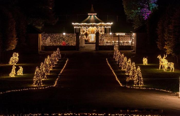 Un nouveau record de fréquentation en route ? Lumières en Seine conquiert Halloween au Domaine de Saint-Cloud