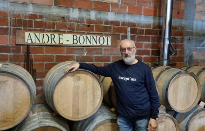 mauvaise nouvelle pour les vignerons