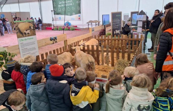 la Ferme de Côte-d’Or ouvre ses portes au Salon Gastronomique de Dijon