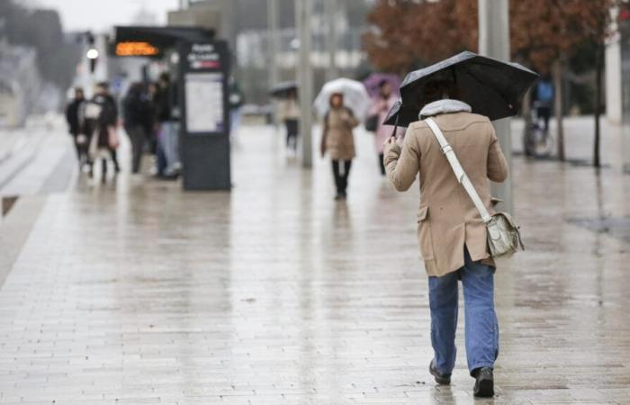 En Indre-et-Loire, le mois d’octobre a-t-il vraiment été plus pluvieux que d’habitude ?