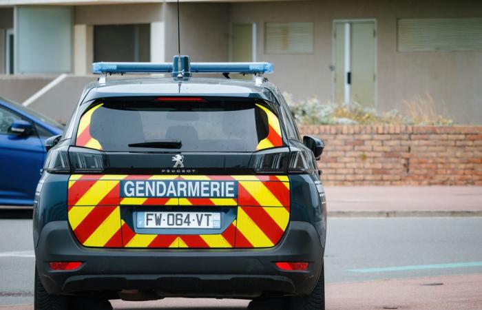 Un demandeur d’asile mord un gendarme après son arrestation