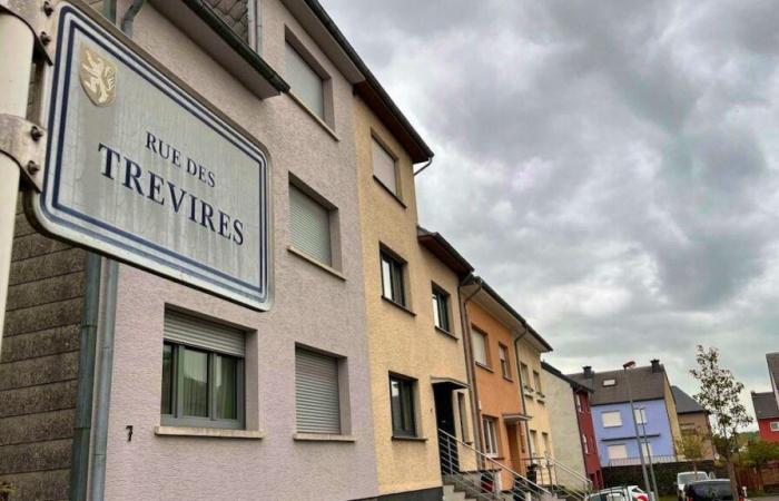 le meurtrier condamné à 18 ans de prison