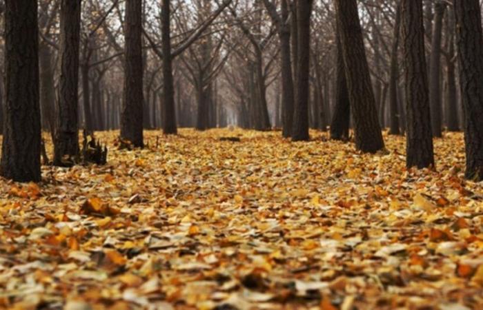 Baisse des températures la semaine prochaine : changement d’ambiance