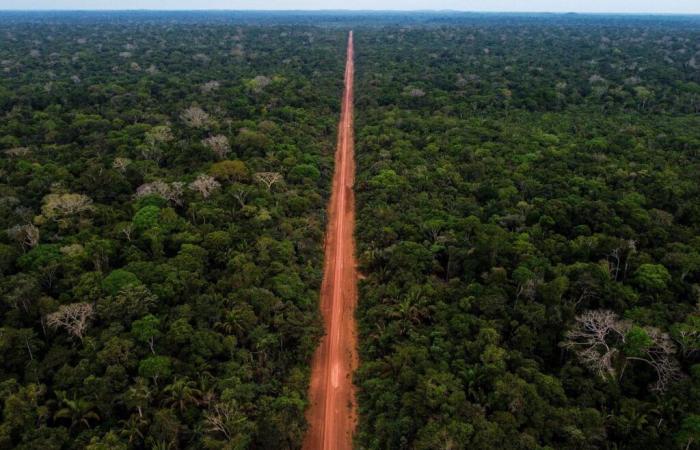 Le taux de déforestation en Amazonie brésilienne à son plus bas niveau depuis neuf ans