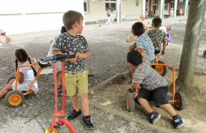 « C’est moi le patron, tu dois mettre ma bite dans ta bouche… » Un enfant de 4 ans victime de harcèlement scolaire, sa mère témoigne