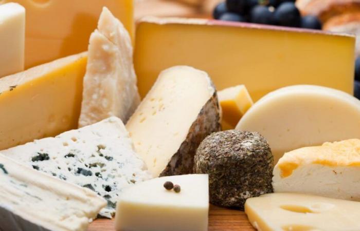 Même s’il est gras et riche en calories, le fromage est bon pour la santé selon cette étude française