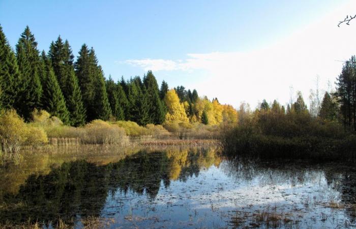 Une protection revue et renforcée pour trois sites naturels remarquables des Franches-Montagnes