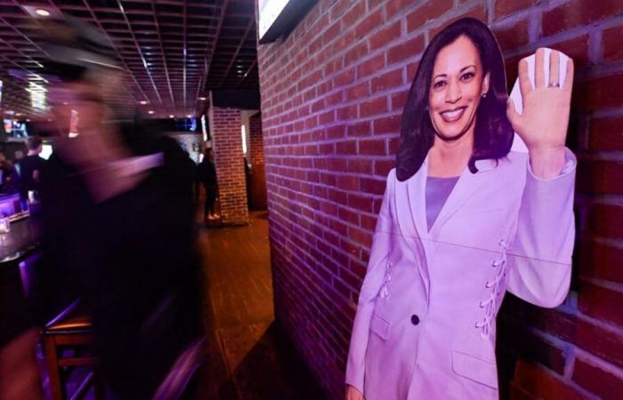 comment expliquer la déroute électorale de Kamala Harris, largement battue par Donald Trump ?