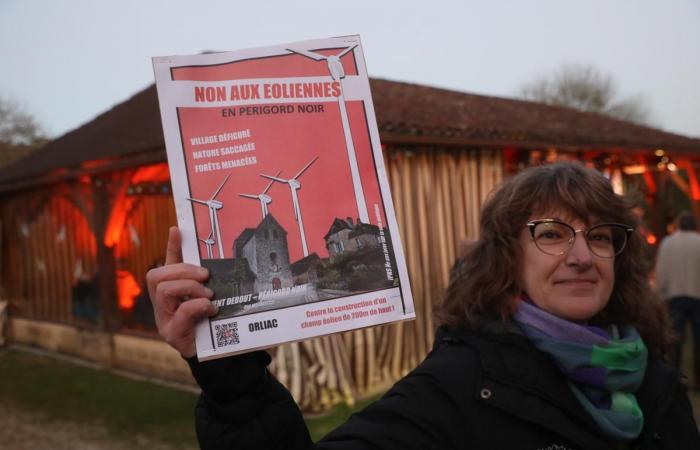 Des villageois de Dordogne arrêtent une réunion publique autour d’un projet éolien