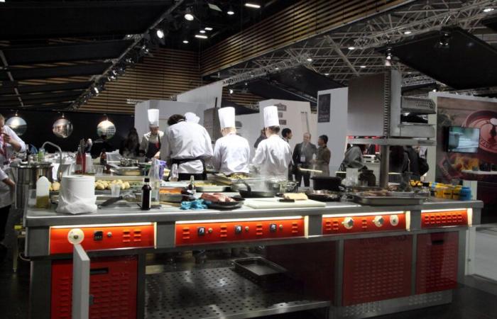 Le cerf sera le protagoniste du prochain Bocuse d’Or