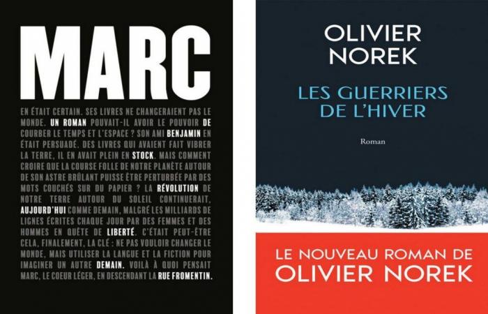 le prix Flore a été décerné à Benjamin Stock et le prix Jean Giono à Olivier Norek