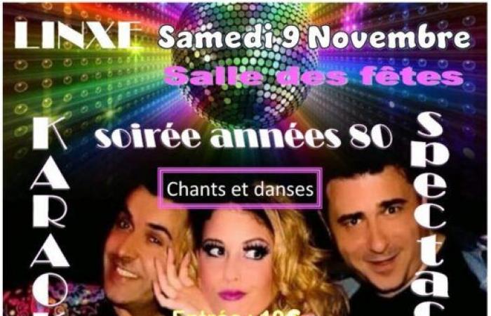 Idées de sorties – LANDES – Week-end du 8-9-10 novembre