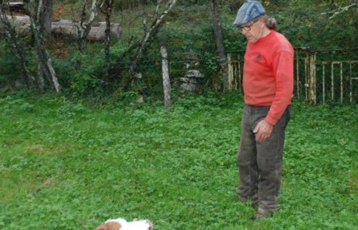 Je jure. A Mesnay le lynx attaque trois chèvres naines et deux moutons