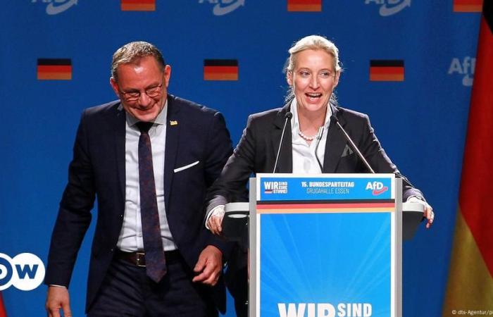 En Allemagne, l’AfD milite pour des élections anticipées – DW – 08.11.2024