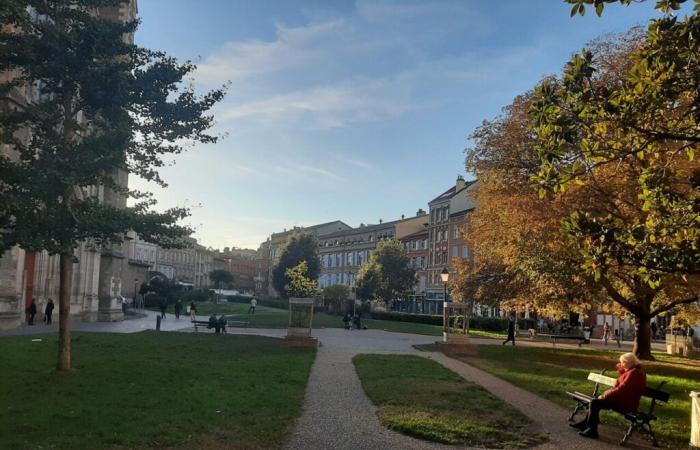 CARTES. Voici les prévisions de Météo France pour le week-end prolongé du 11 novembre à Toulouse et en Occitanie