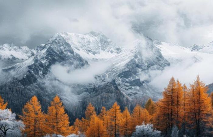 retour de la neige en montagne