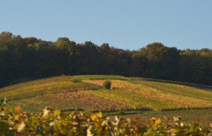 quel temps fait-il dans la Marne ce week-end ?