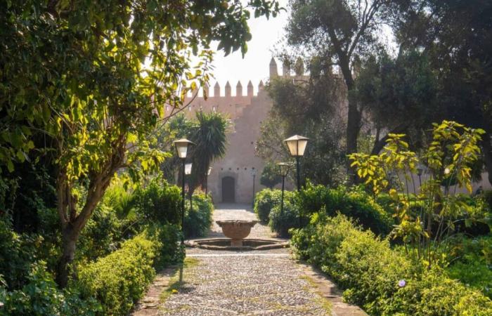 Au Jardin d’Essais, l’art d’El Ghrib s’épanouit sous le signe du vivant