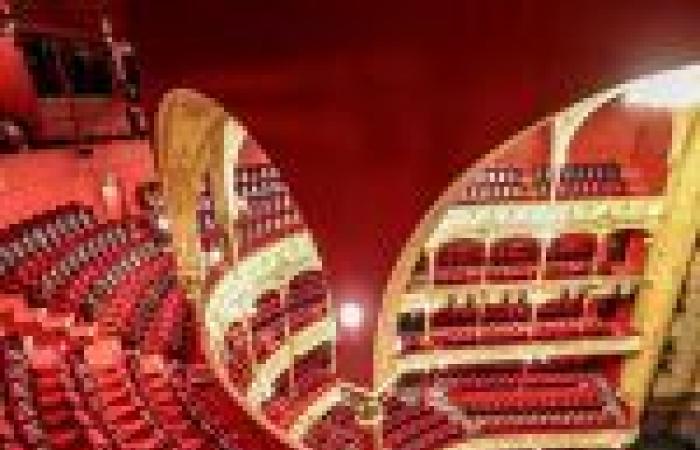 le spectacle du Sinfonia Pop Orchestra au Grand Rex