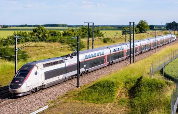 pourquoi de nombreux TGV sont annulés entre Paris et le Sud-Est ce week-end