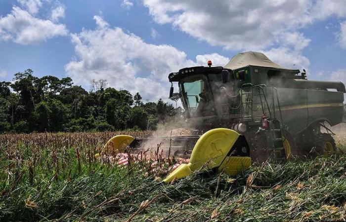 L’agriculture gagne en importance dans l’économie algérienne