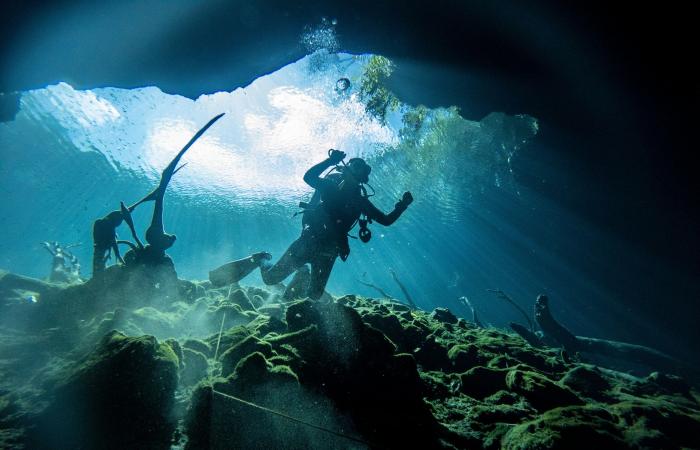 8 des meilleurs cénotes près de Tulum