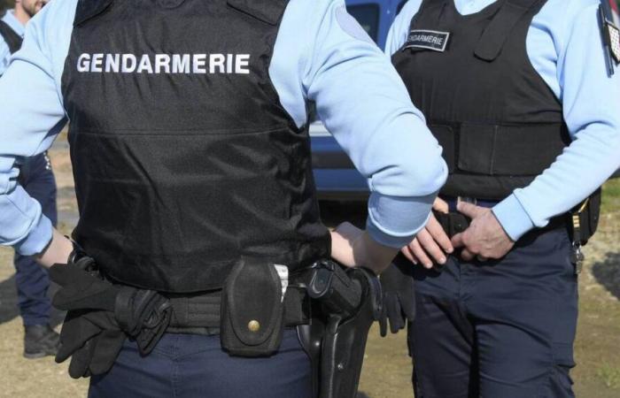 une violente altercation éclate devant une école dans le Gard