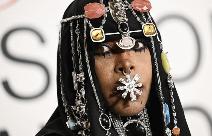 Erykah Badu, récompensée en tant qu’icône de la mode et actrice émergente