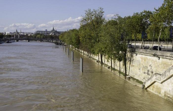 La mairie de Paris veut préparer les habitants au risque d’inondation avec « une grande opération de sensibilisation »