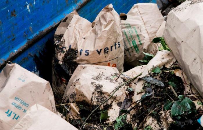 toutes les déchetteries de l’Eurométropole ouvertes le 11 novembre, les collectes des déchets reportées