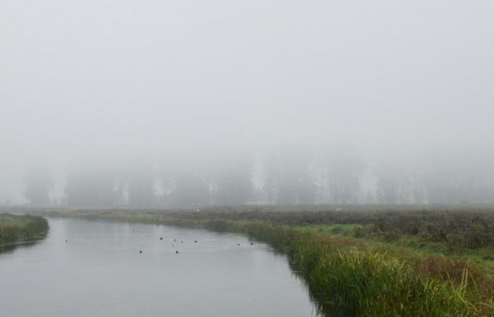 quelles sont les prévisions pour ce long week-end dans le Nord et le Pas-de-Calais ?