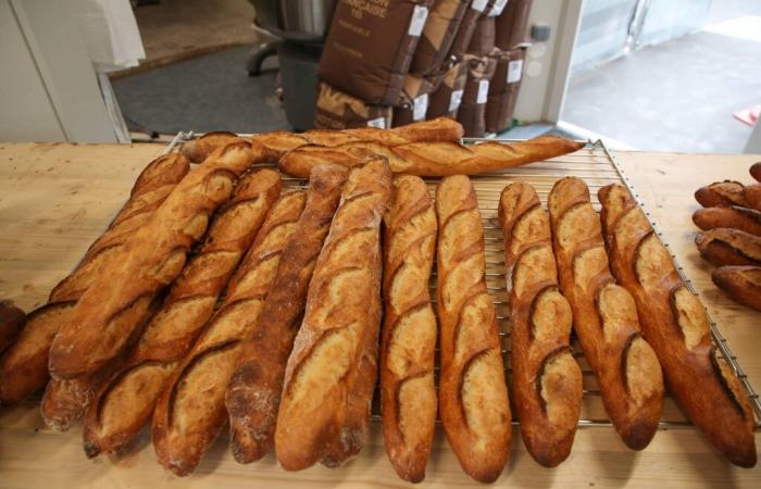 Nouveau prix record pour les baguettes, la vôtre est-elle plus chère qu’ailleurs en France ?