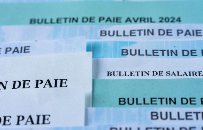 lorsqu’une salariée obtient le droit de consulter la fiche de paie de ses collègues