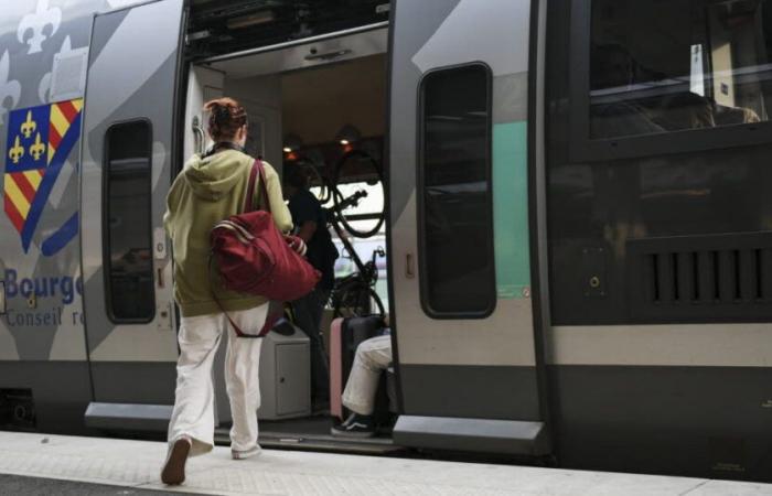 Transport. Pont prolongé du 11 novembre : SNCF Voyageurs se mobilise