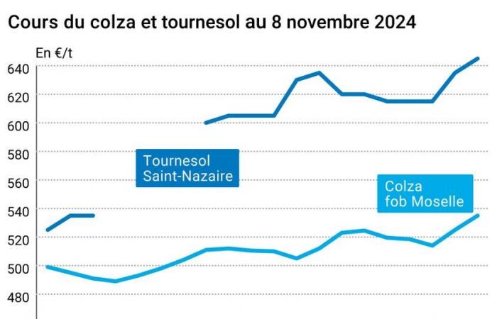 Oléagineux – La demande mondiale d’huiles végétales fait grimper les prix du soja, du palmier, du canola et du tournesol