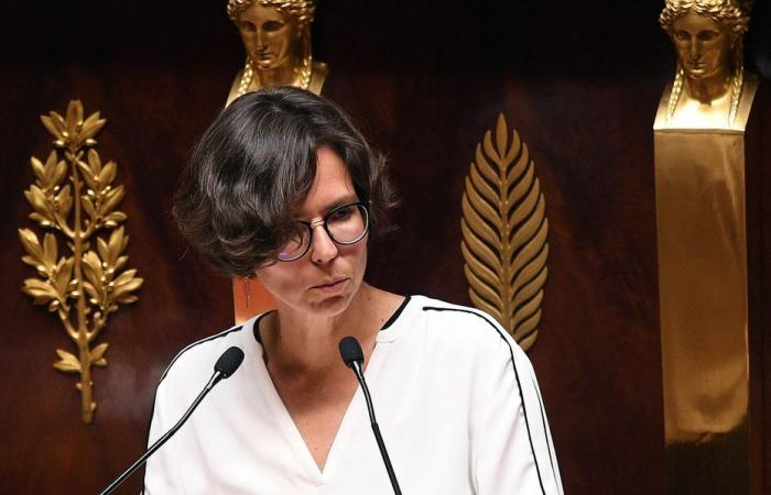 Camille Galliard-Minier, former deputy of Olivier Véran, formalizes her candidacy