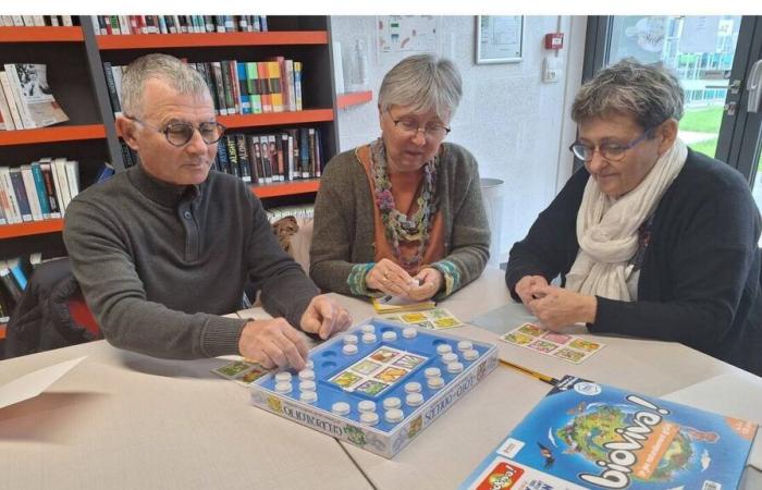 Tiffauges. Jeux nature à la bibliothèque Livre ouvert jusqu’au 11 décembre