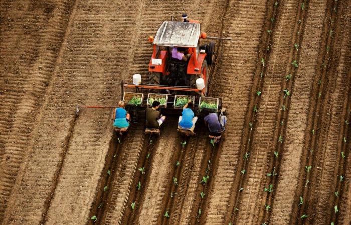 Consommation responsable en France, quand le juste prix fait partie des premières attentes