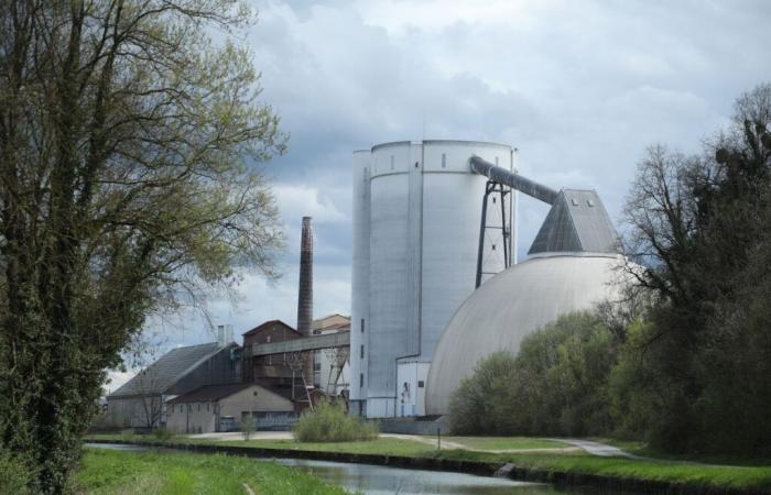 Mais d’où vient le sucre qui étouffe des centaines de poissons en Seine-et-Marne ?