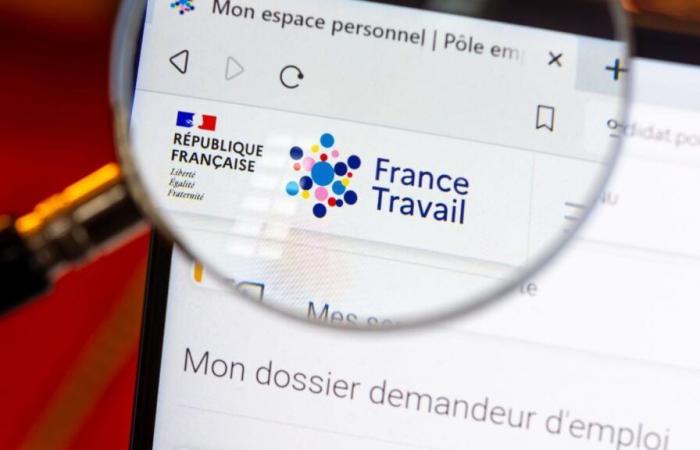 « Je suis conseiller France Travail, voici combien je gagne par mois »