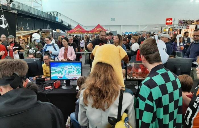 Un salon dédié au jeu vidéo rétro à découvrir en Tarn-et-Garonne